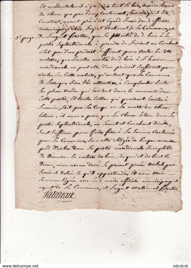 Minute An 2 De La Republique 19 Messidor  Eaux Et Forets Concerne La Commune De Larroque 4 Scans - Seals Of Generality