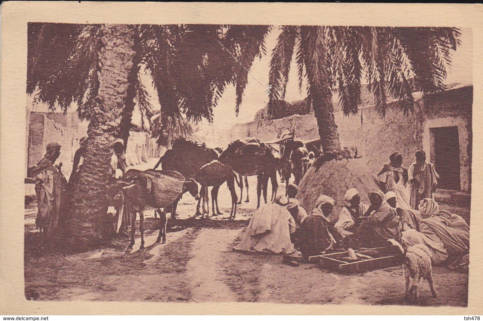 MAROC----caravane Au Repos--voir 2 Scans - Autres & Non Classés