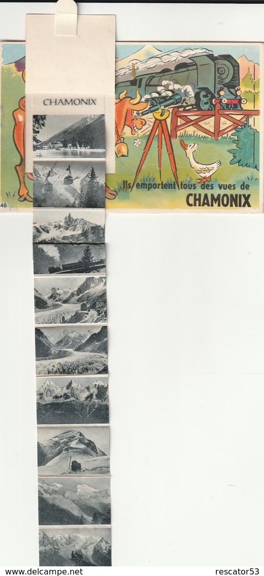 Rare Cpsm Carte à Système Chamonix - A Systèmes