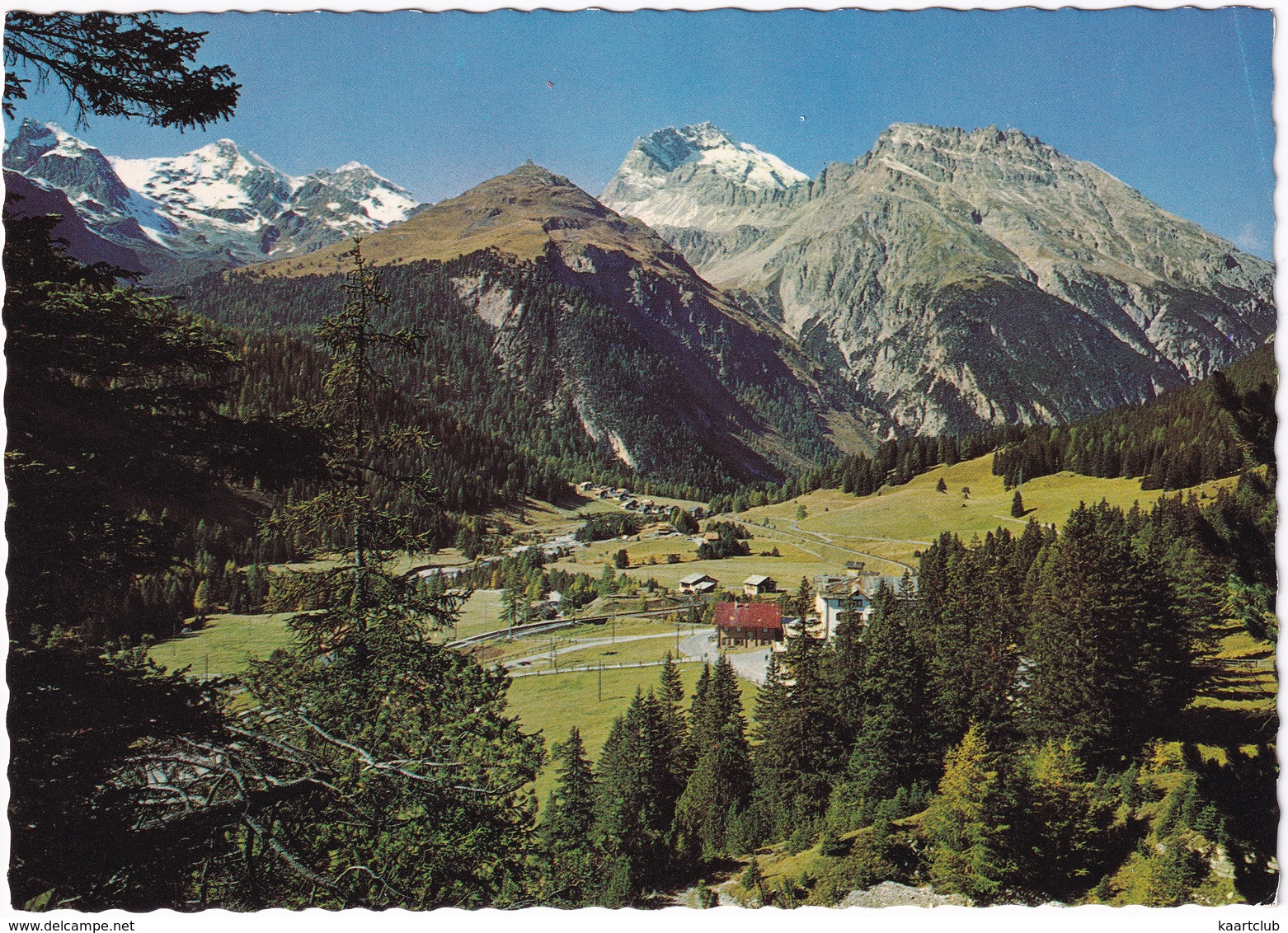 Preda Am Albulapass (1800 M) Gegen Naz Und Piz D'Ela - (Suisse/Schweiz) - Andere & Zonder Classificatie