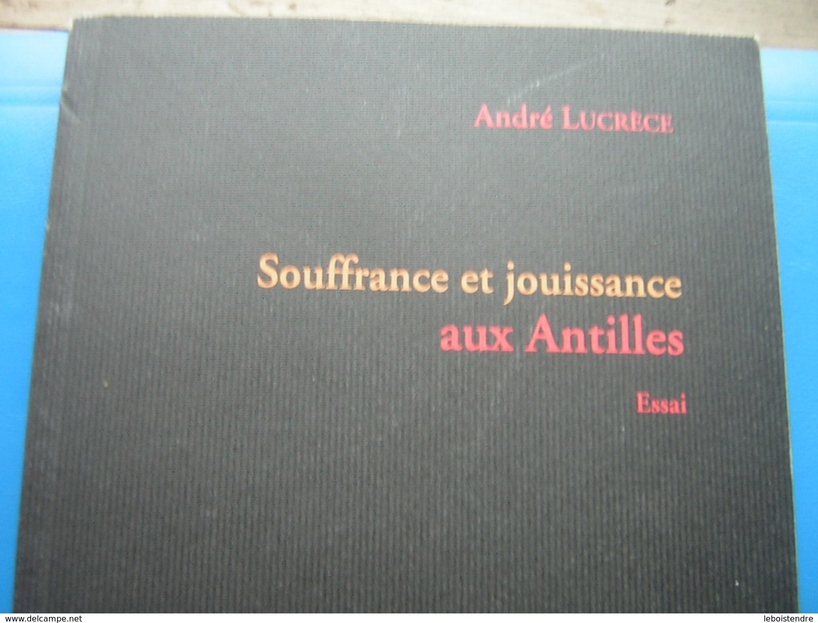 SOUFFRANCE ET JOUISSANCE AUX ANTILLES ESSAI ANDRE LUCRECE GONDWANA EDITIONS 2000 - Outre-Mer