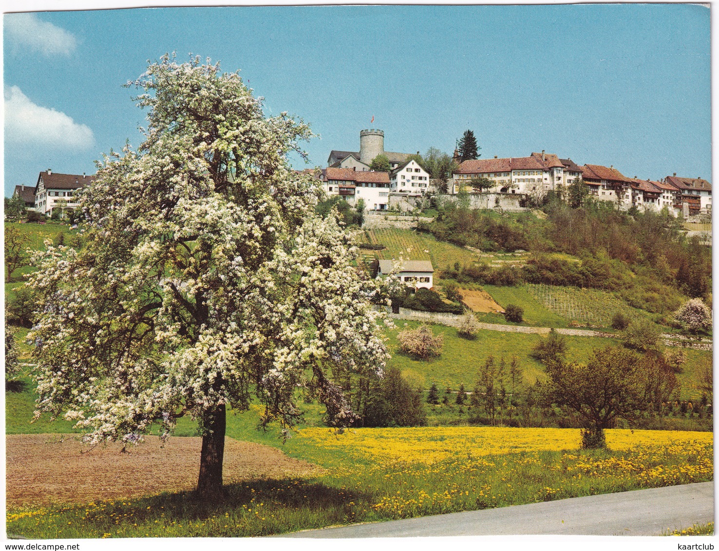 Regensberg (Kanton Zürich)  -  (Suisse/Schweiz) - Zürich