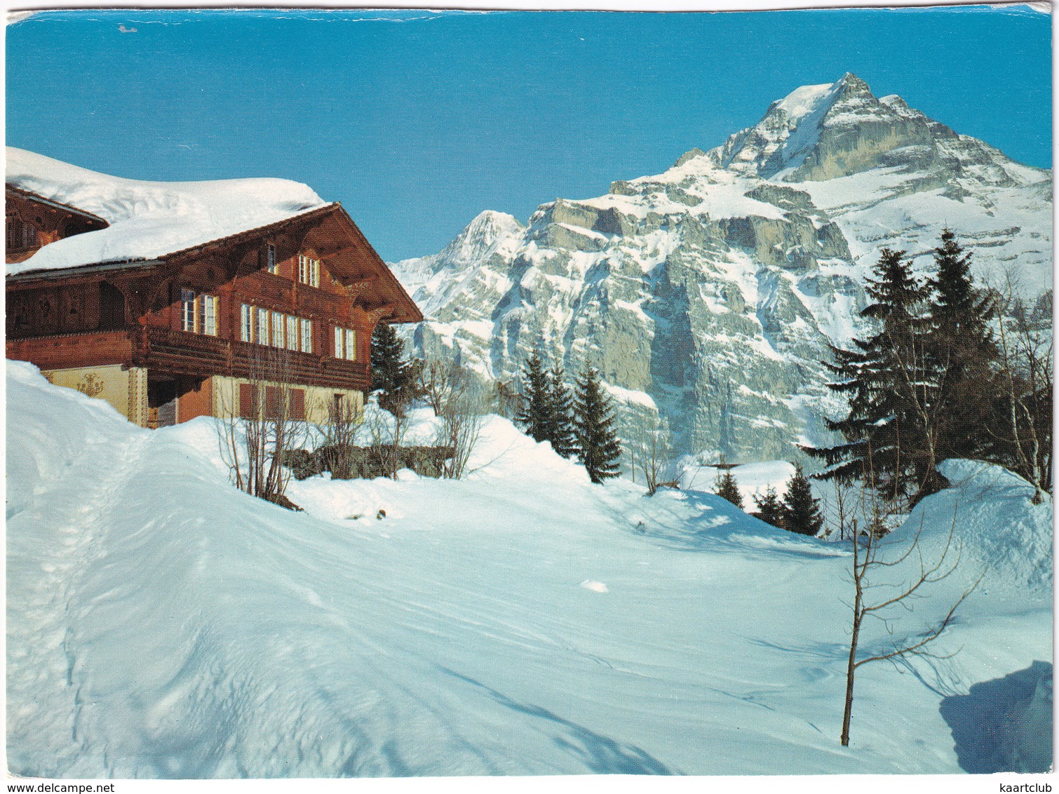 Mürren / Jungfrau  -  (Suisse/Schweiz) - Mürren