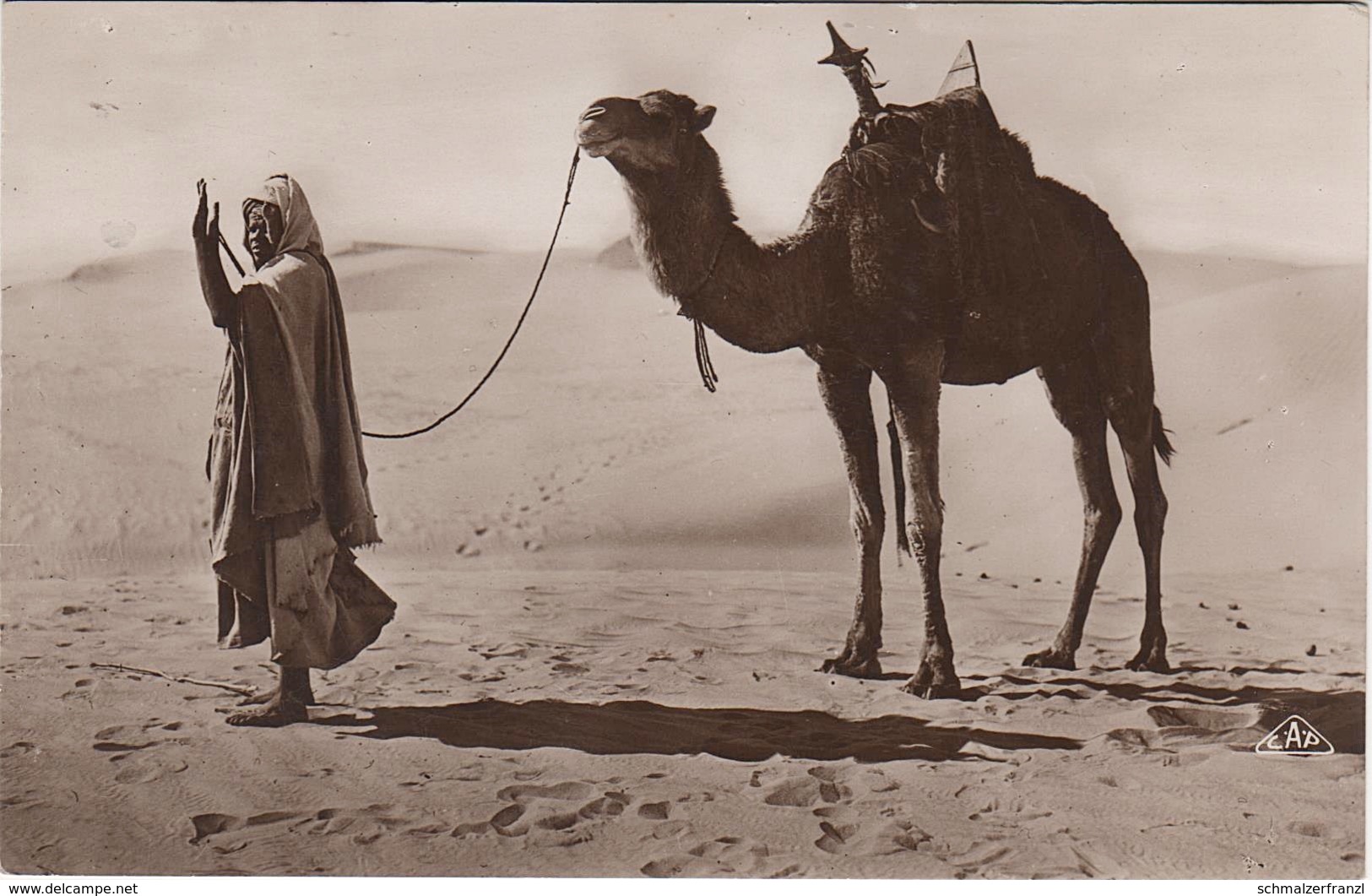 AK Scènes Types Prayer In Desert Prière Bédouine Arabe Arab Arabien Afrique Africa Afrika Vintage Egypte Egypt Algerie ? - Afrique