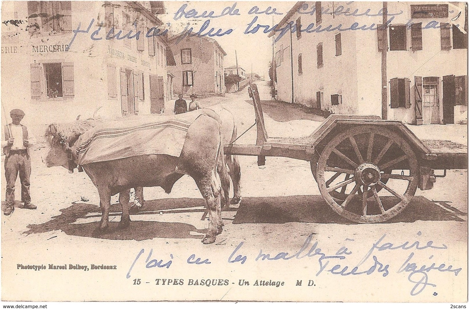 Dépt 64 - BIDART - Un Attelage - édition M. D. N° 15 - Phototypie Marcel Delbey - TYPES BASQUES - (Épicerie AMIGORENA) - Bidart