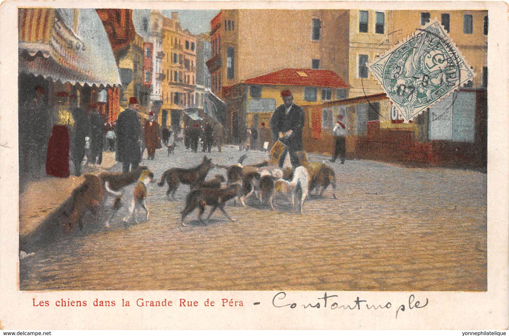 Turquie / 05 - Constantinople - Les Chiens Dans La Grande Rue De Péra - Turquie