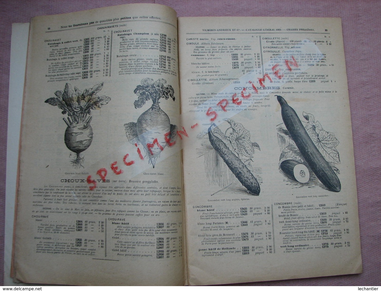 Vilmorin Andrieu 1923 Beau Catalogue Avec Dessins 152 Pages 175X270 + Divers Documents. B.E. - Autres & Non Classés