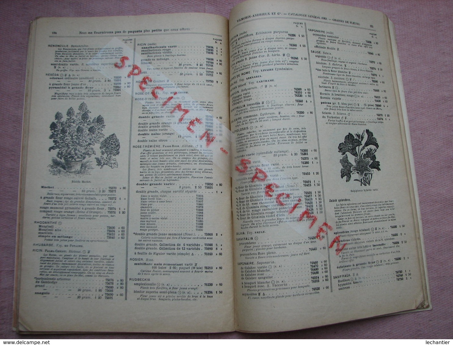 Vilmorin Andrieu 1923 beau catalogue avec dessins 152 pages 175X270 + divers documents. B.E.