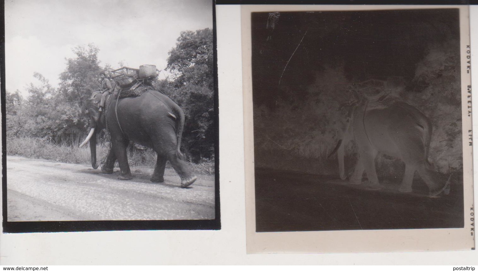 Thailand   Cynthia Ellis Celluloid Photographic Negative Contact Photographs Asia - Places