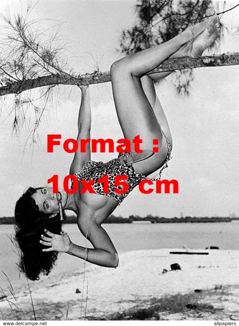 Reproduction D'une Photographie Ancienne De Bettie Page En Tenue De Tarzan Suspendue à Un Arbre  En 1954 - Autres & Non Classés