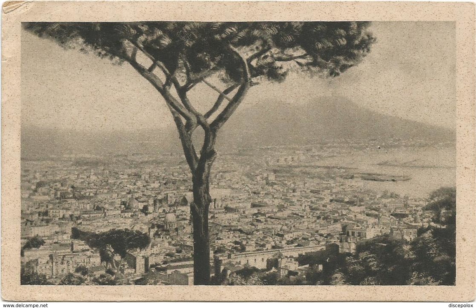 W512 Napoli - Panorama Col Vesuvio / Viaggiata 1934 - Napoli