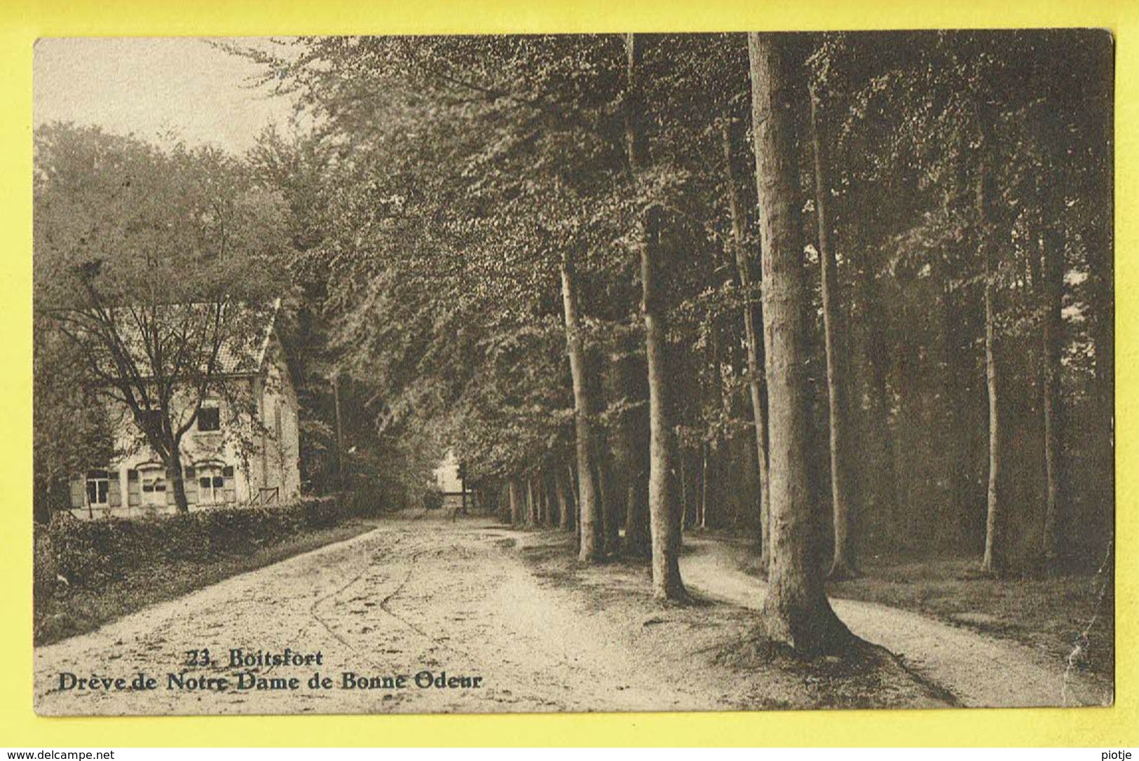 * Boitsfort - Watermaal Bosvoorde (Bruxelles) * (Photo Belge Lumière, Nr 23) Drève De Notre Dame De Bonne Odeur, Bois - Watermaal-Bosvoorde - Watermael-Boitsfort