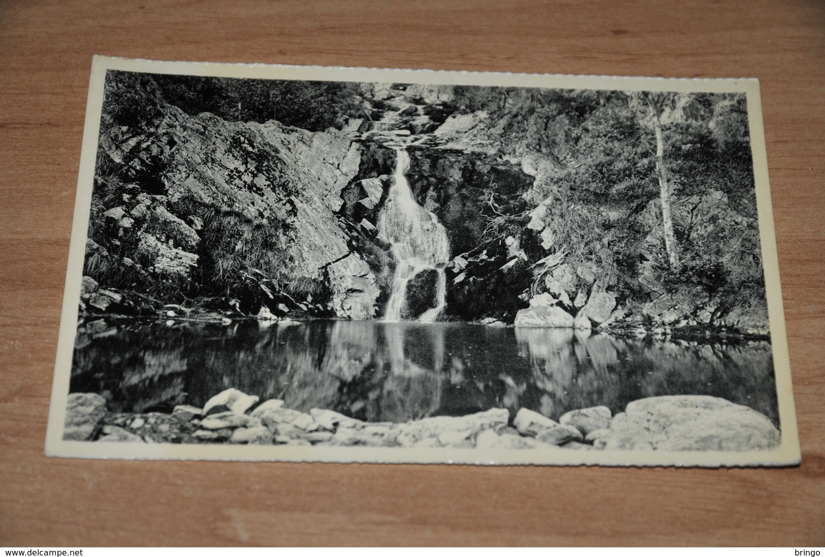 7214-    ROBERTVILLE, LA CASCADE ET LA CUVE DU BAYON - Weismes