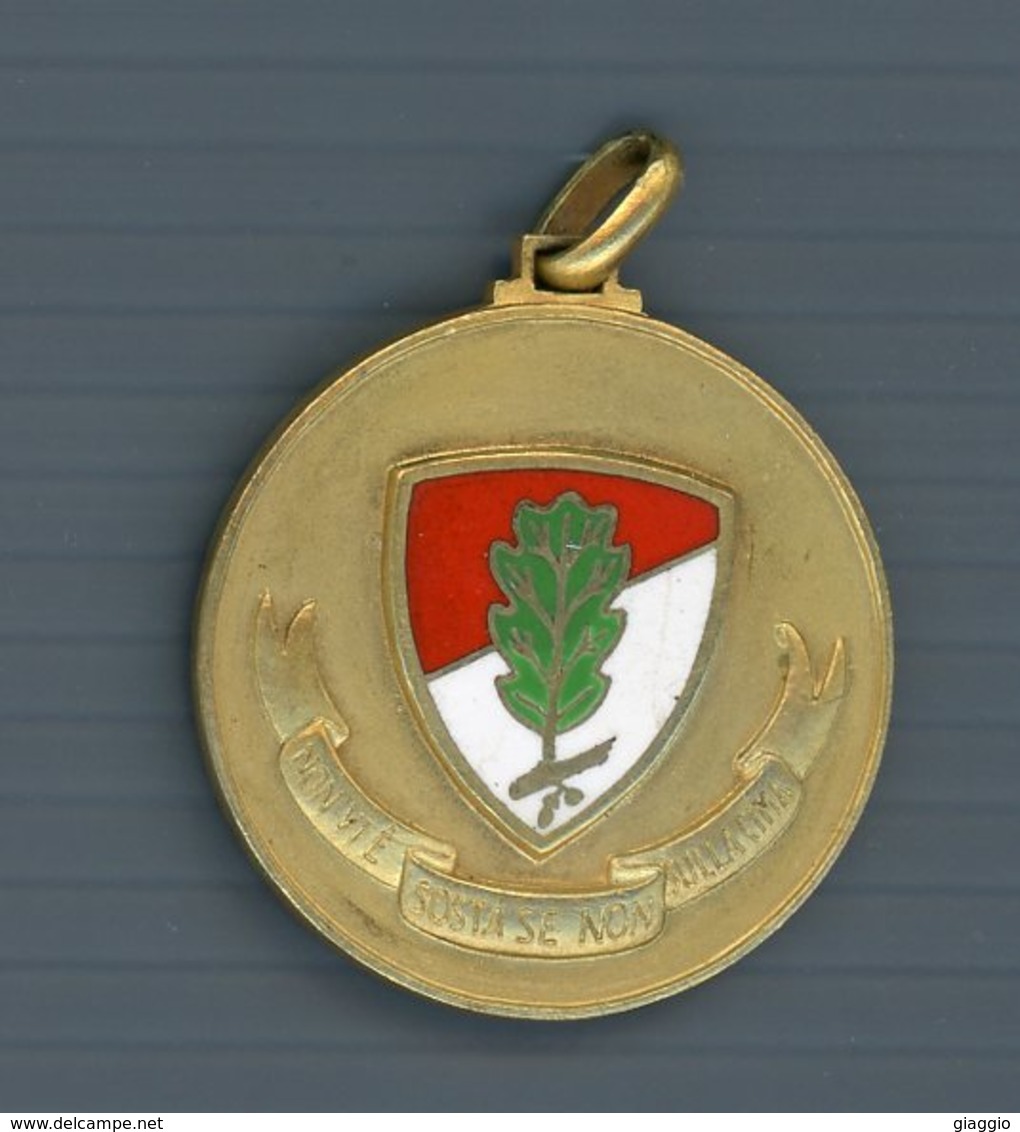 °°° Medaglia N. 550 - Non Vi è Sosta Se Non Sulla Cima/comando Divisione Fanteria Avellino °°° - Italia