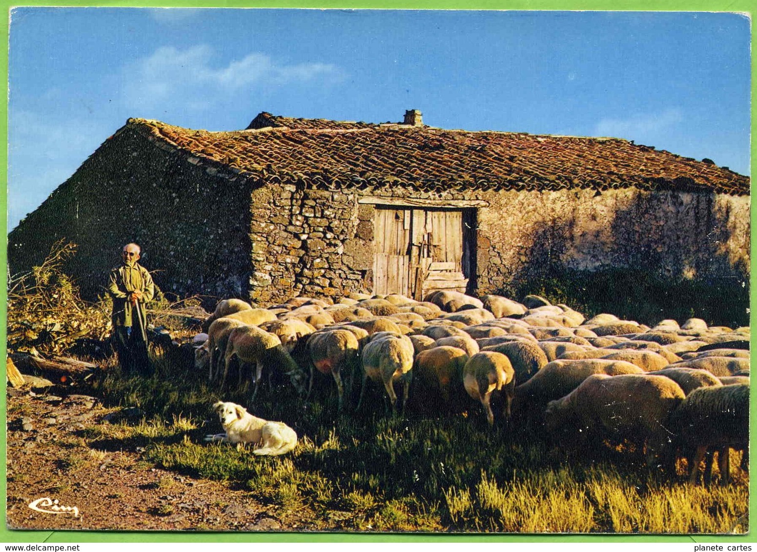 PROVENCE - Lot De 5 Cartes : Scènes Pastorales, Moutons, Bergerie, Transhumance - Crías