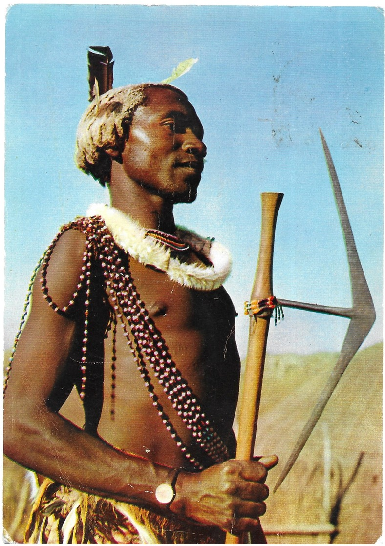 Swaziland Swazi Warrior - Swasiland