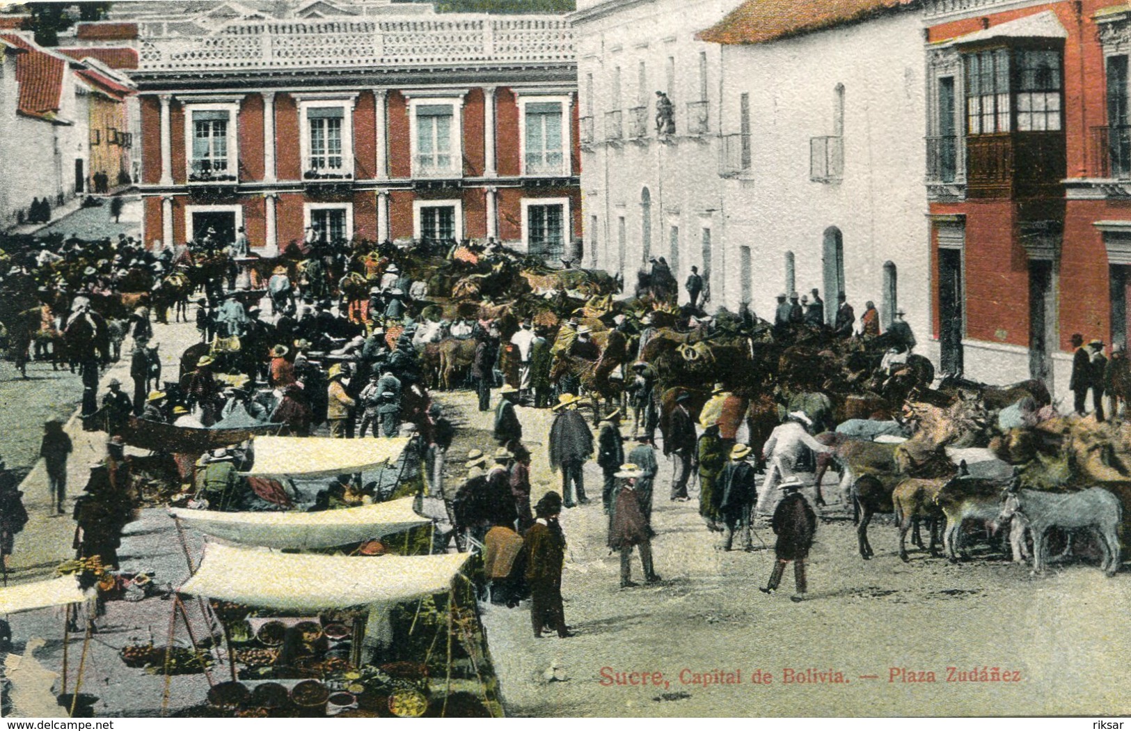 BOLIVIE(TYPE) SUCRE(INDIEN) MARCHE(ANE) - Bolivia