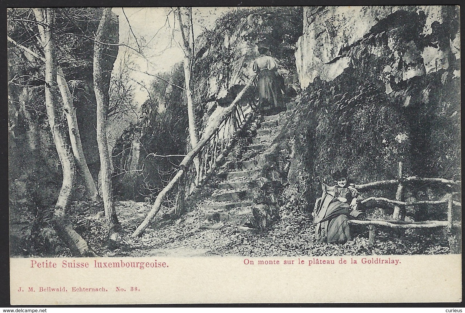 PETITE SUISSE LUXEMBOURGEOISE * ON MONTE SUR LE PLATEAU DE LA GOLDFRALAY * EDIT. J.M. BELLWALD ECHTERNACH - Autres & Non Classés