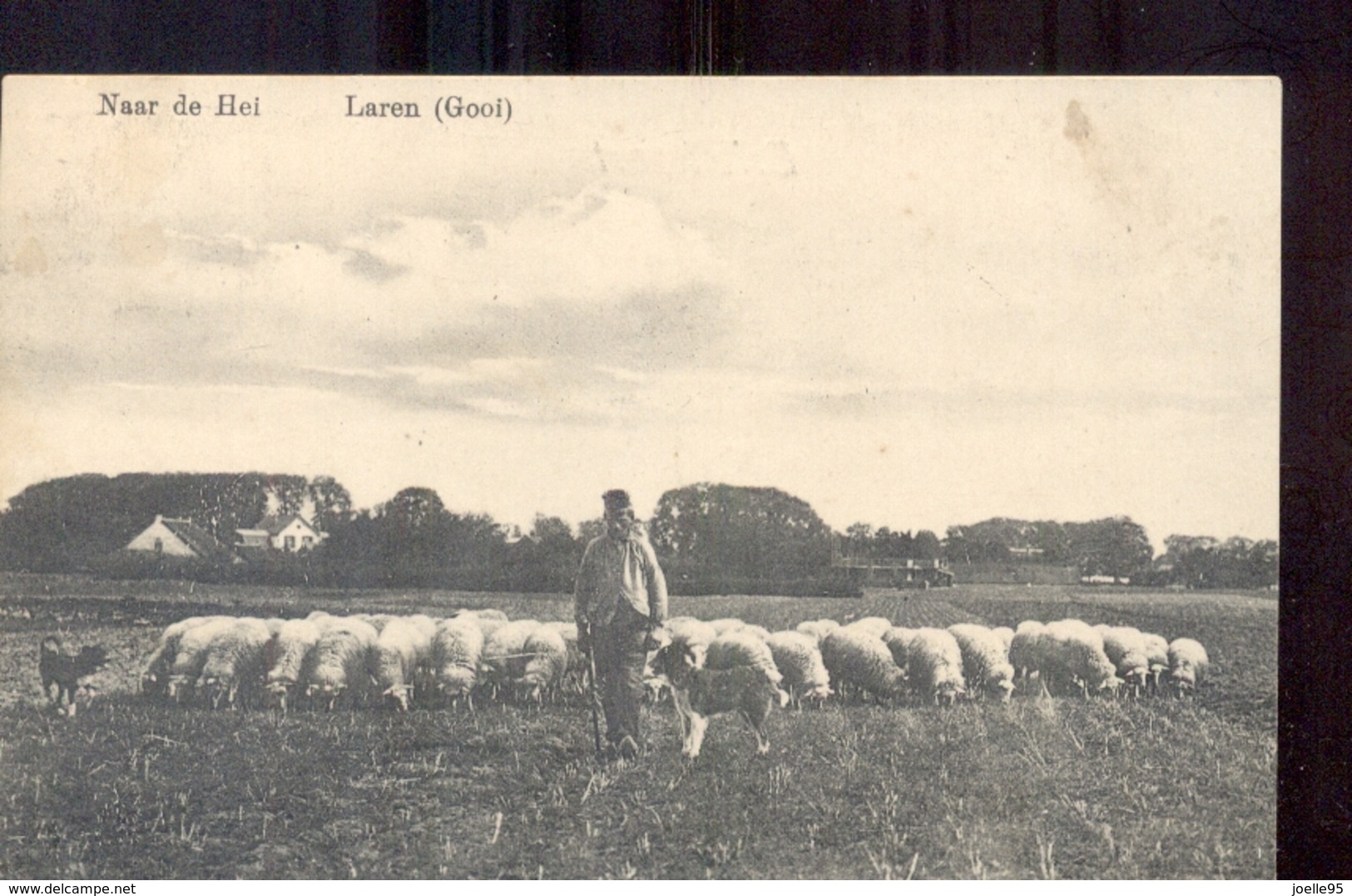 Laren - Schapen - 1911 - Laren (NH)