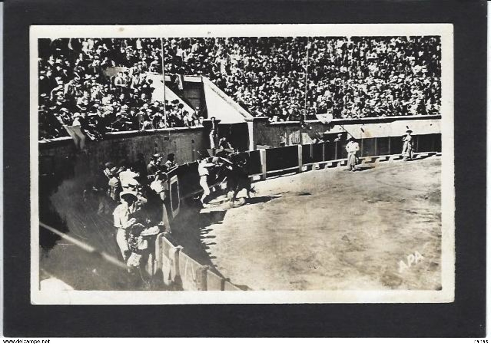 CPSM Corrida Taureau Béziers écrite - Taureaux