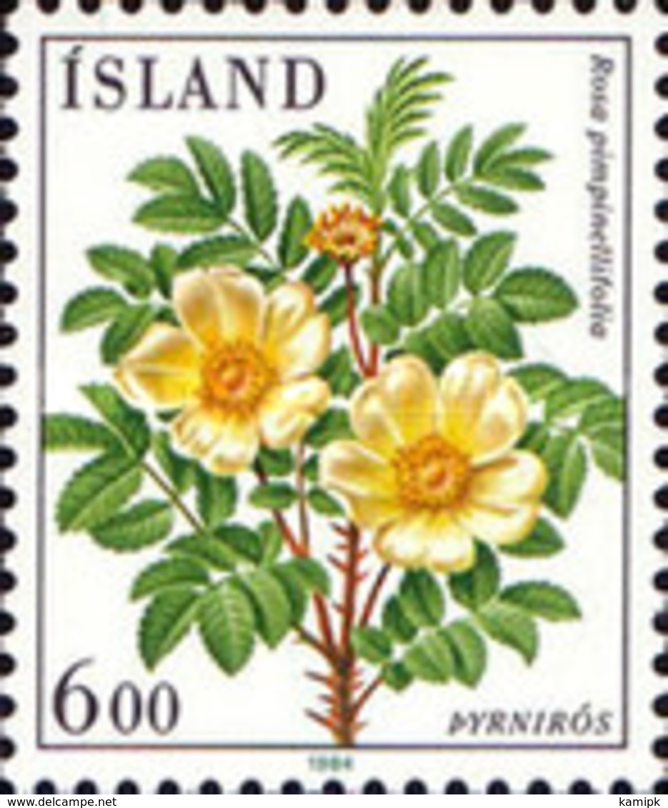 USED  STAMPS Iceland - Flowers	 - 1983 - Oblitérés