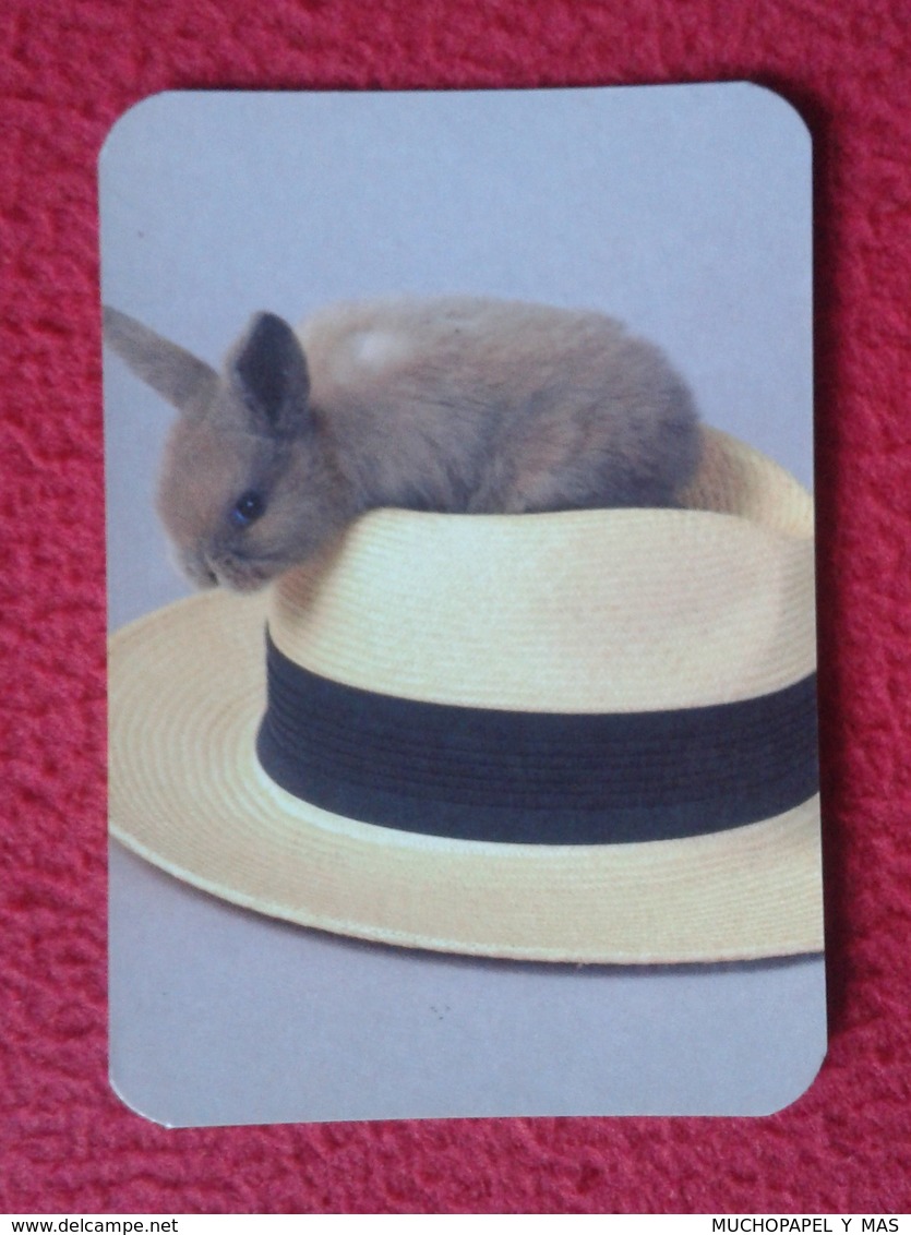 CALENDARIO DE BOLSILLO CALENDAR RABBIT LAPIN LIÈVRE HARE HASE LIEBRE CONEJO RABBITS CONEJOS EN SOMBRERO HAT GORRO VER FO - Petit Format : 2001-...