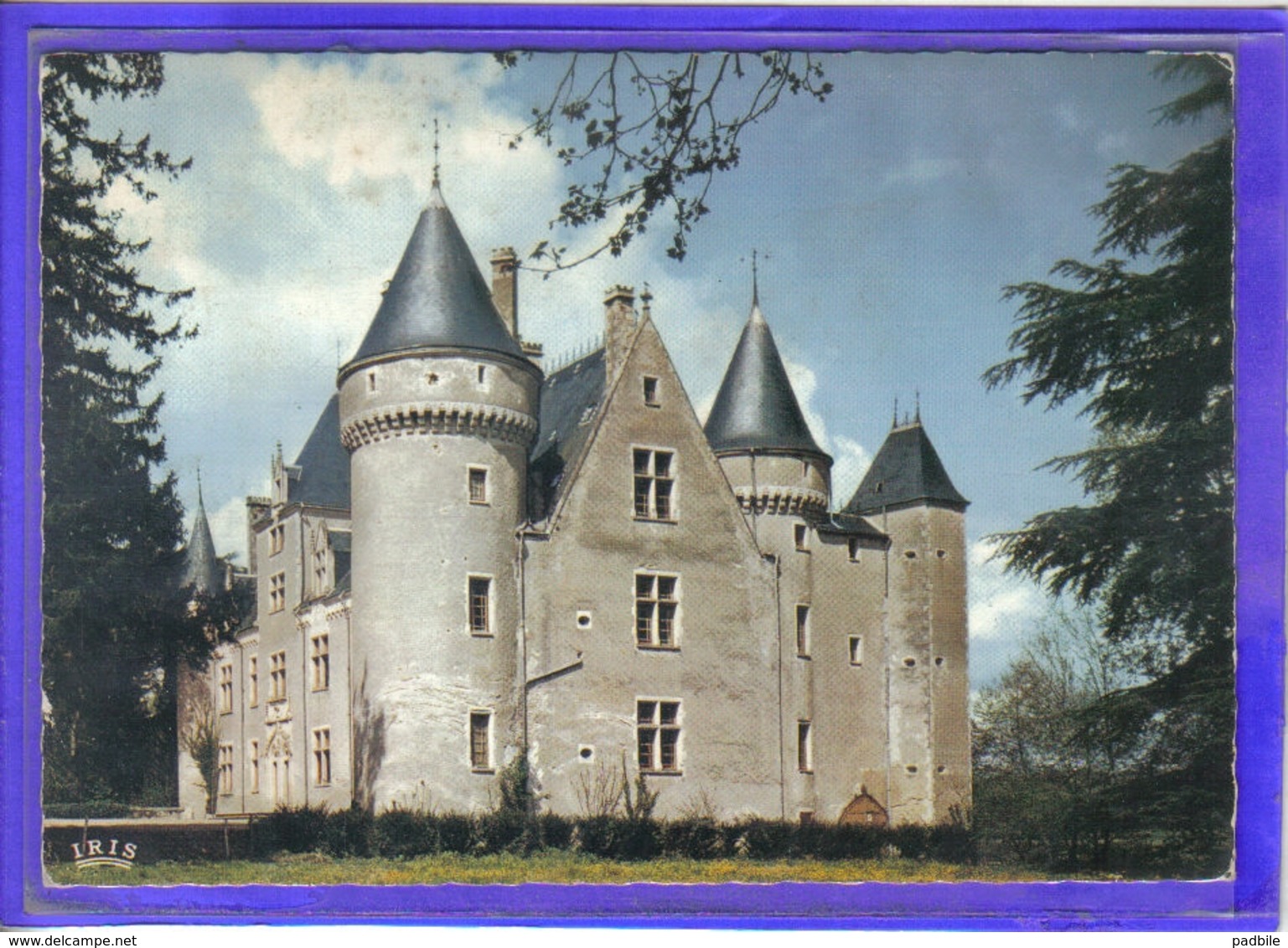 Carte Postale 36. Chateau De Roche    Très Beau Plan - Autres & Non Classés