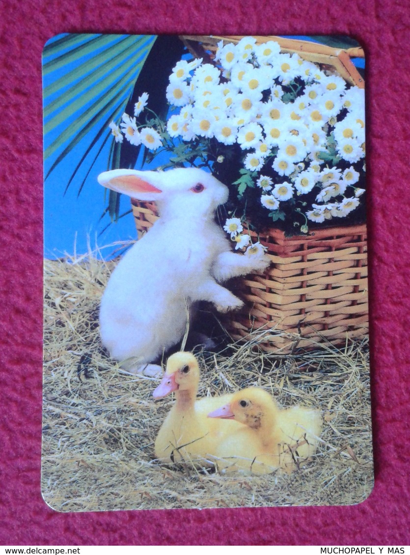 CALENDARIO DE BOLSILLO CALENDAR RABBIT LAPIN LIÈVRE HARE HASE LIEBRE CONEJO RABBITS CONEJOS EN CESTA CON FLORES Y POLLOS - Tamaño Pequeño : 2001-...