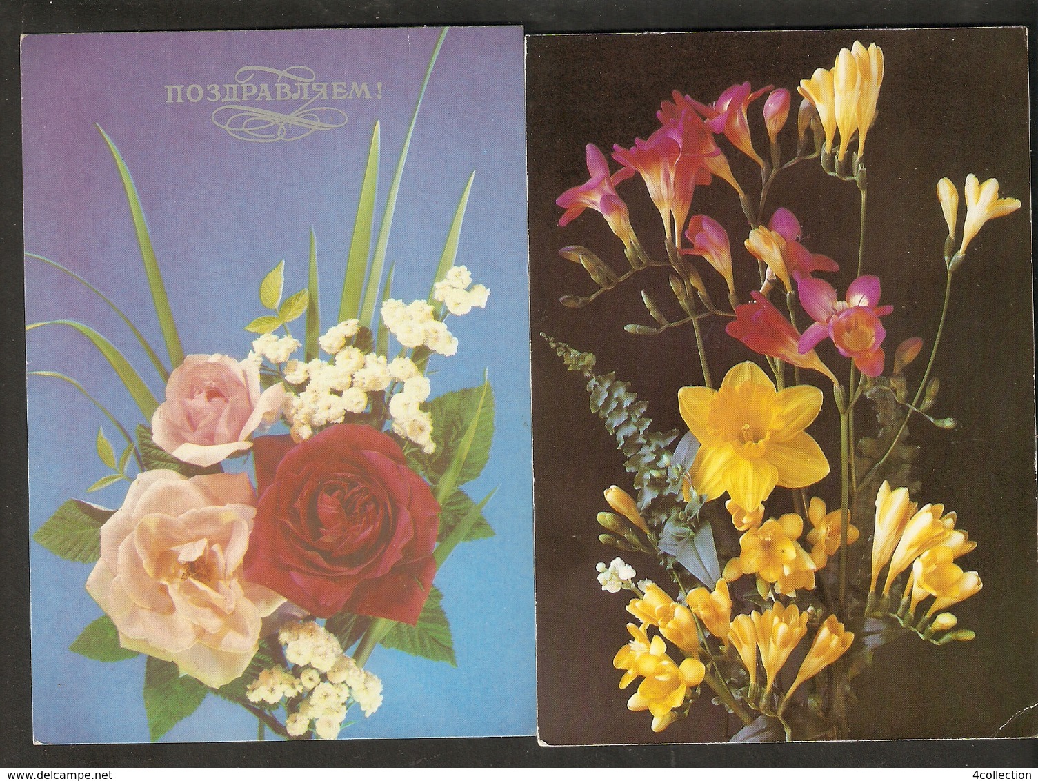K. FLORA Flowers Roses Orchid 2psc. Of Postcard 1984 - 1992 - Flowers