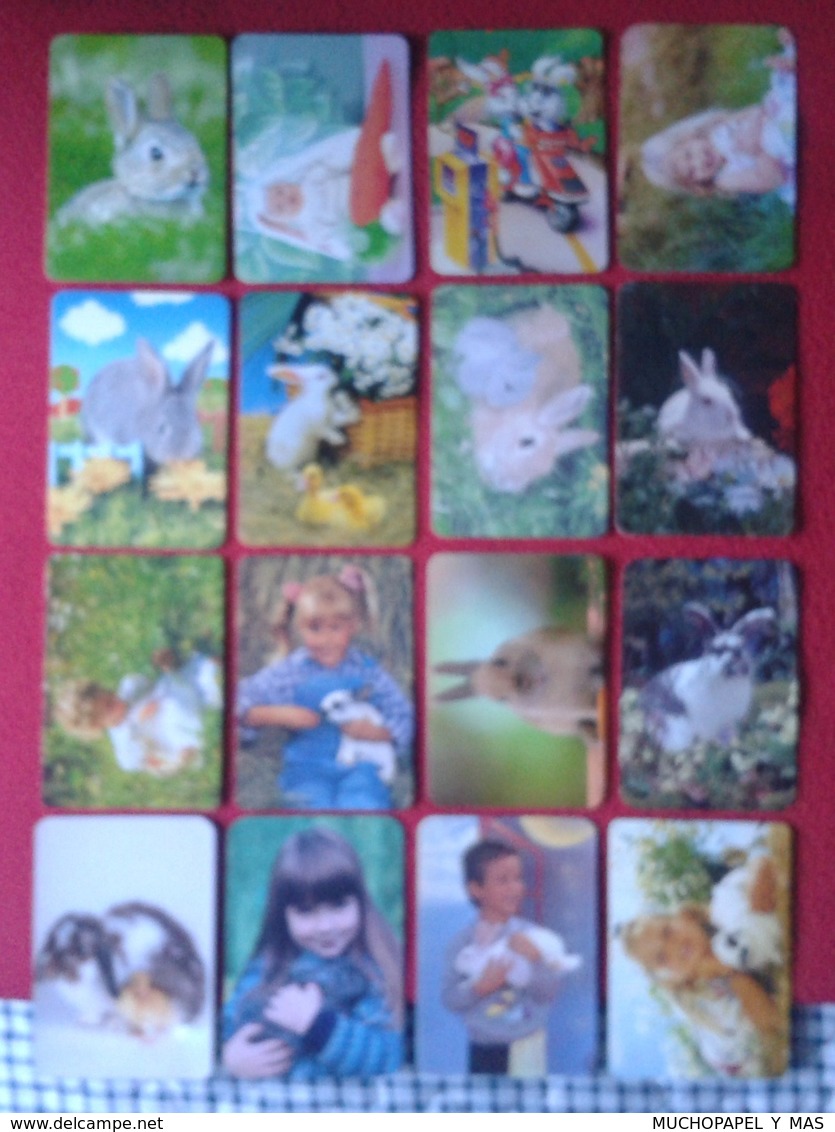 CALENDARIO DE BOLSILLO CALENDAR RABBIT LAPIN LIÈVRE HARE HASE LIEBRE CONEJO RABBITS CONEJOS LOTE DE 16 LOT CALENDARIOS - Tamaño Pequeño : 2001-...