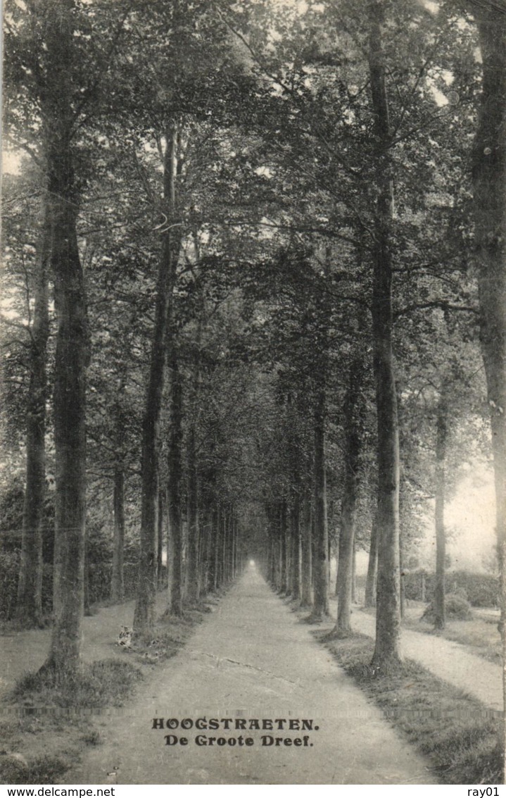 BELGIQUE - ANVERS - HOOGSTRAETEN - HOOGSTRATEN - De Groots Dreeft. - Hoogstraten