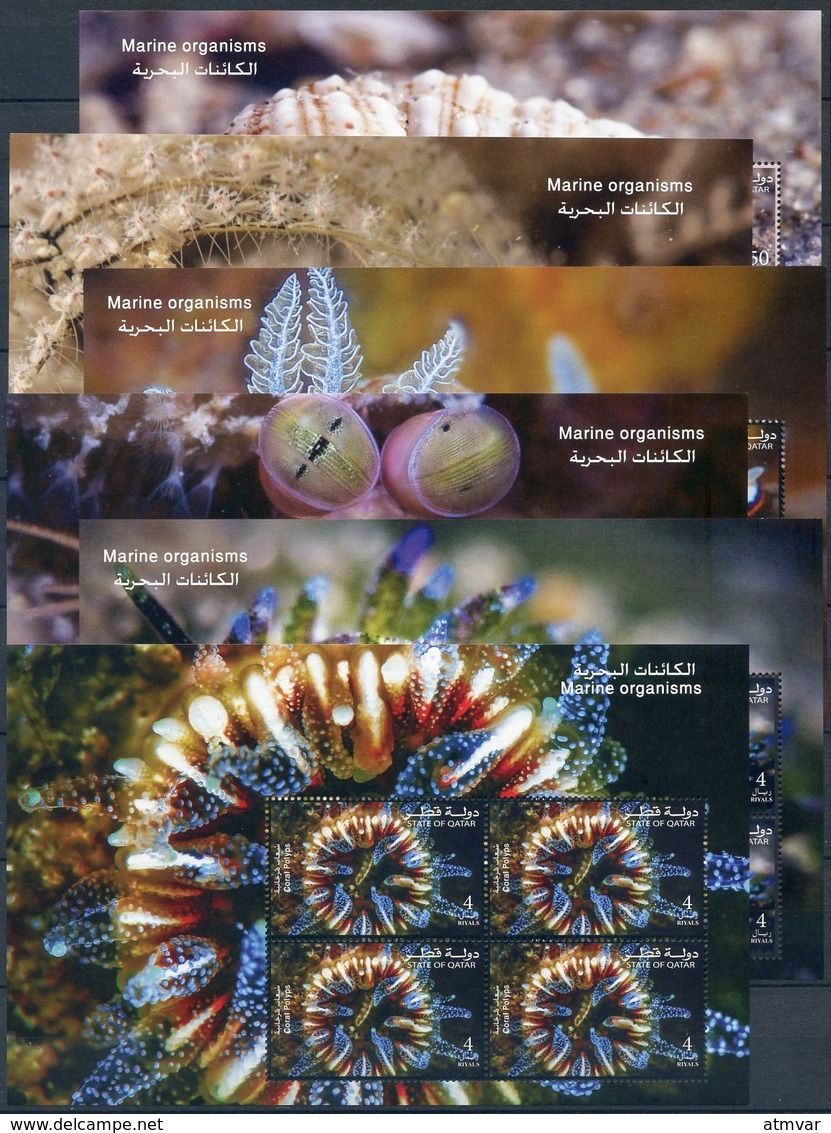 QATAR (2017). Marine Organisms (Hermit Crab, Phylum: Cnidaria, Sea Slug, Crustacea, Sea Anemone, Coral Polyps) 6 Sheets - Qatar