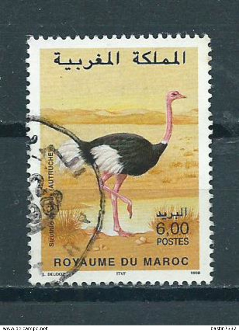 1998 Marokko Ostrich,struisvogel,birds Used/gebruikt/oblitere - Marokko (1956-...)