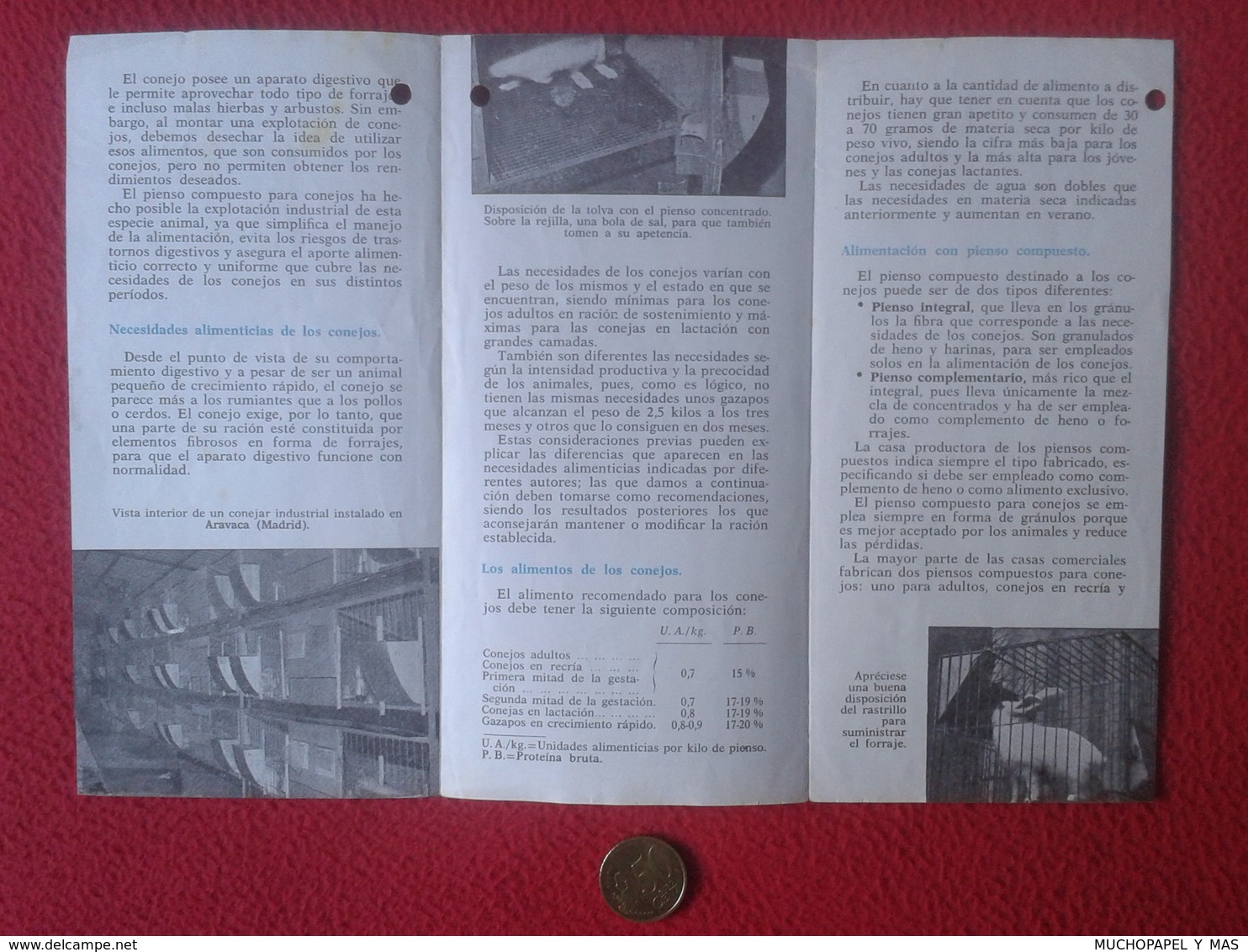 SPAIN DOCUMENTO TRÍPTICO OLD DOCUMENT RABBIT LAPIN LIÈVRE HARE HASE LIEBRE CONEJO RABBITS LA ALIMENTACIÓN DE LOS CONEJOS - Sin Clasificación