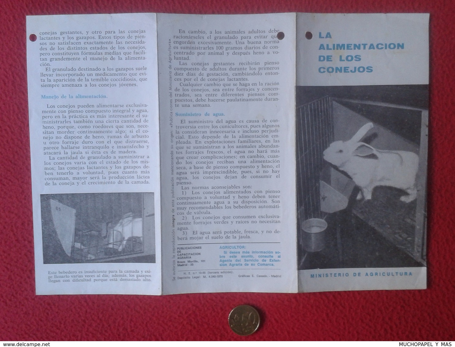 SPAIN DOCUMENTO TRÍPTICO OLD DOCUMENT RABBIT LAPIN LIÈVRE HARE HASE LIEBRE CONEJO RABBITS LA ALIMENTACIÓN DE LOS CONEJOS - Sin Clasificación