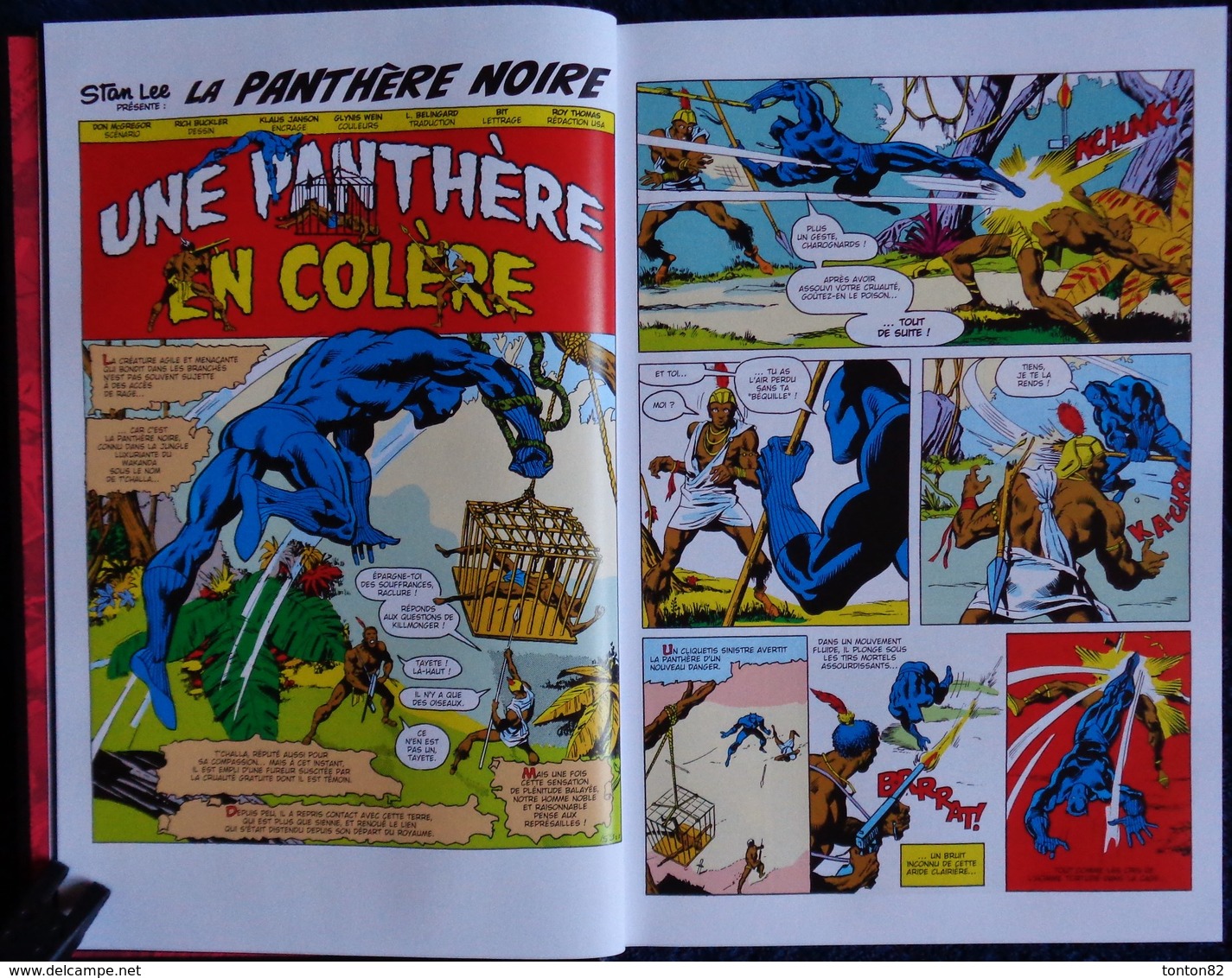 La Panthère NOIRE - La colère de la Panthère -  Marvel Comics