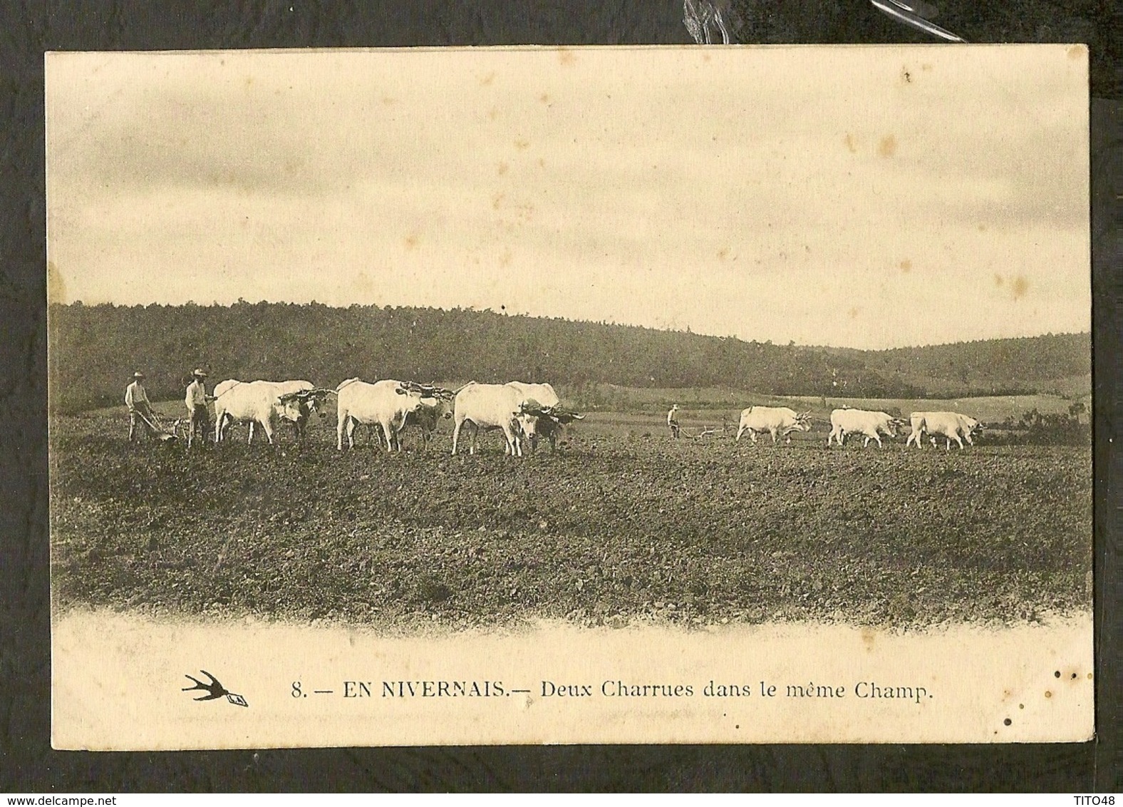 CP-AGRICULTURE - Deux Charrues Dans Le Même Champ - En Nivernais - Teams