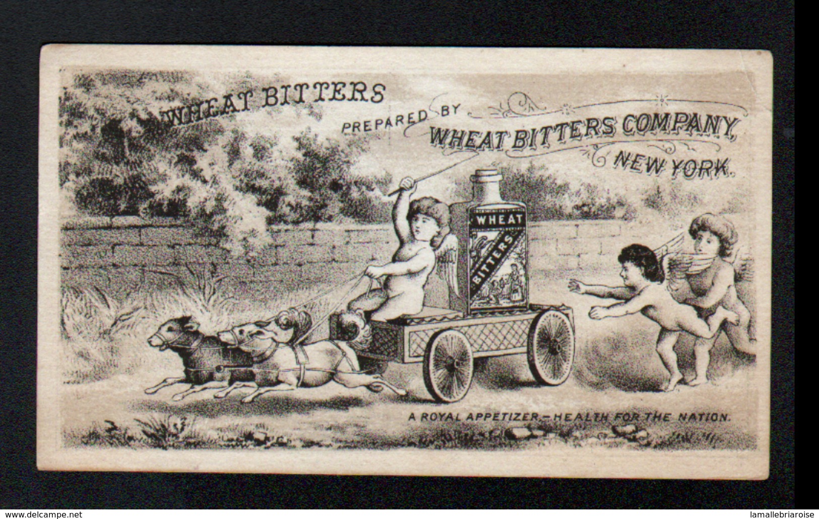 Carte Publicitaire 13 X 7,5 Cm, Wheat Bitters Company, New-York, Avec Attelage De Chiens - Autres & Non Classés