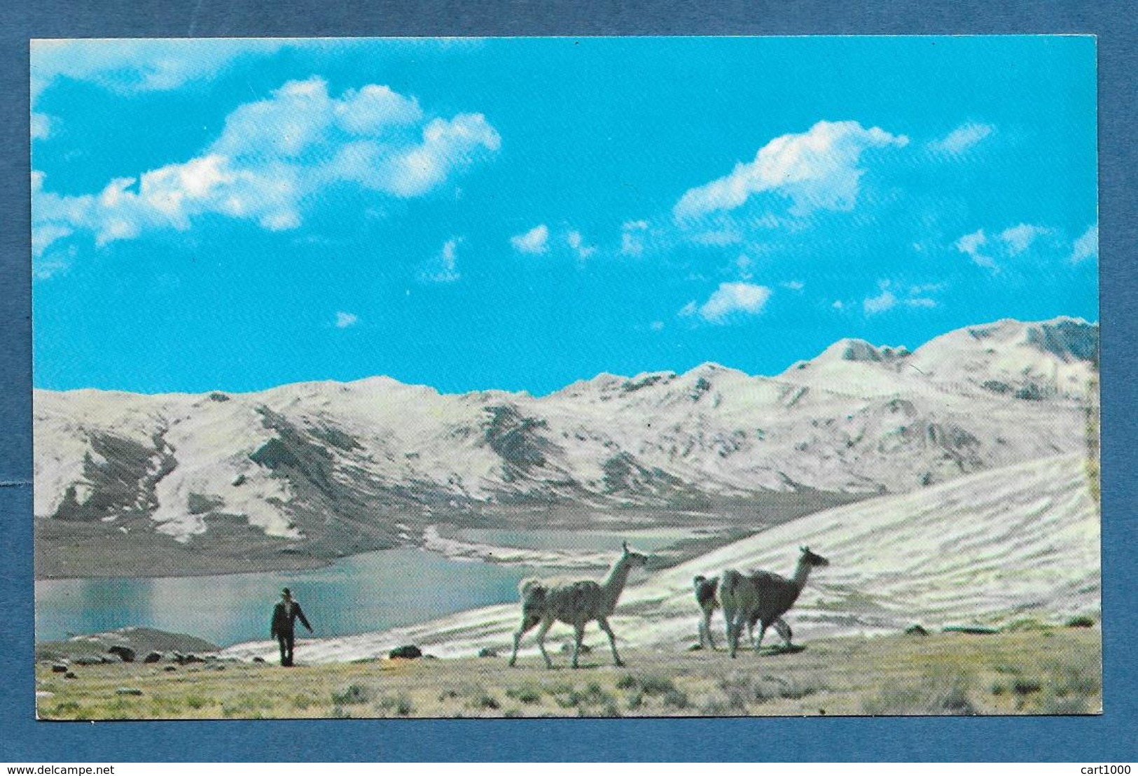 BOLIVIA CORDILLERA DE LOS ANDES UNUSED - Bolivia