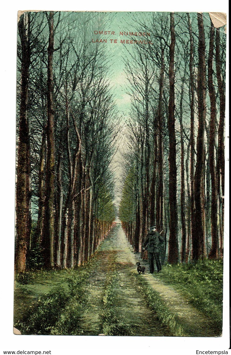 CPA - Carte Postale Pays Bas - Gelderland - Nijmegen -Meetweg-1909- S4961 - Nijmegen