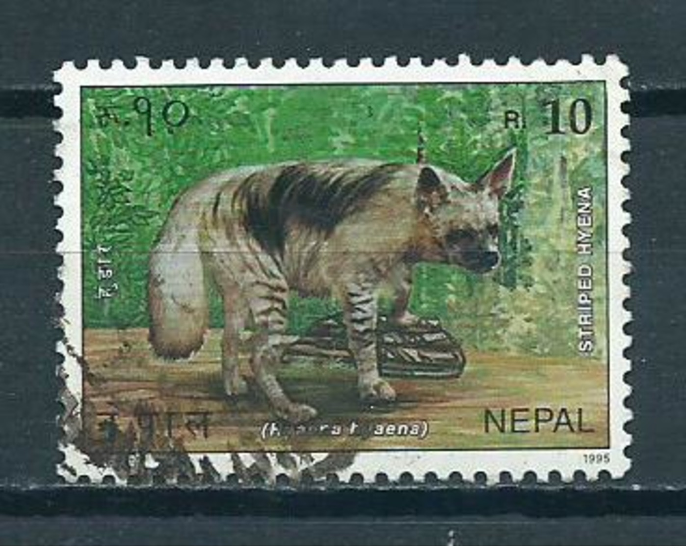 1995 Nepal Hyena,animals Used/gebruikt/oblitere - Népal