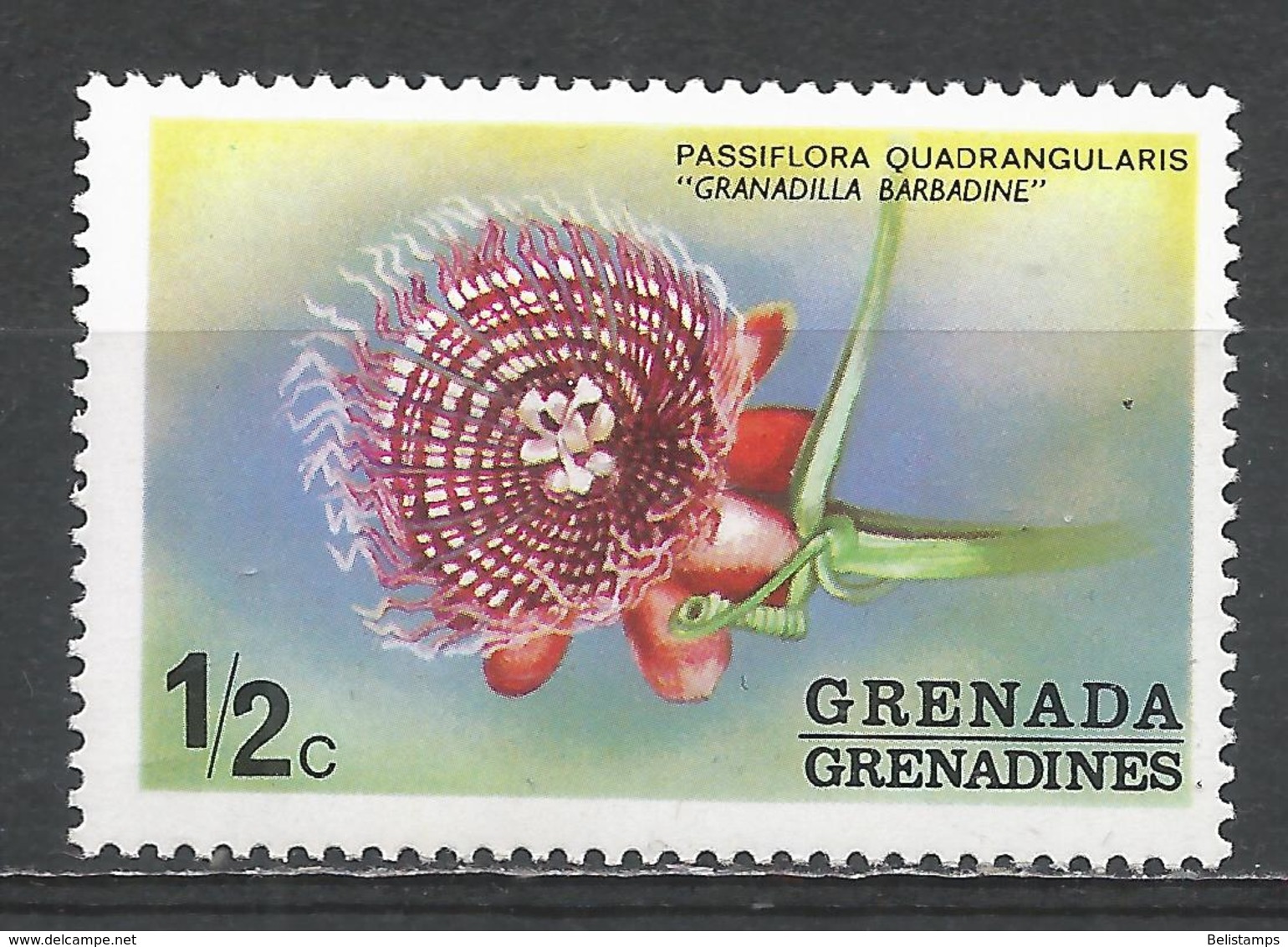 Grenada Grenadines 1975. Scott #50 (MNH) Flower, Grandilla Babadine - Grenada (1974-...)