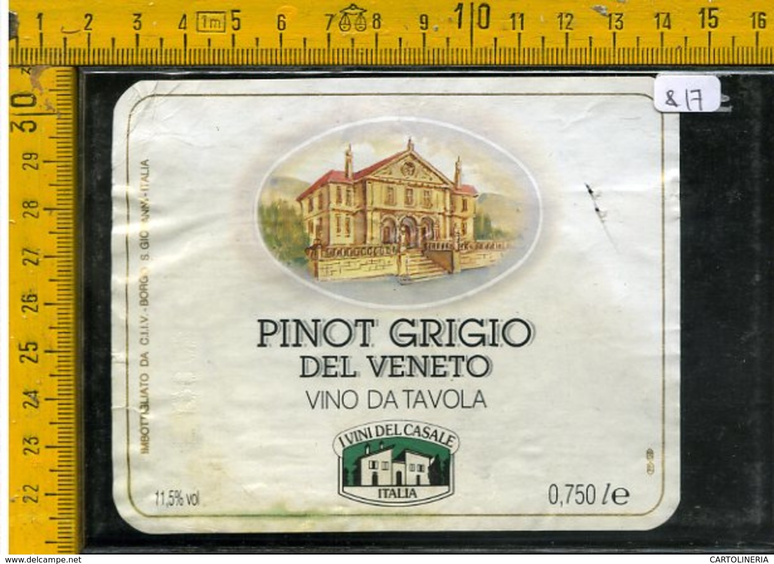 Etichetta Vino Liquore Pinot Grigio Del Veneto - Altri & Non Classificati