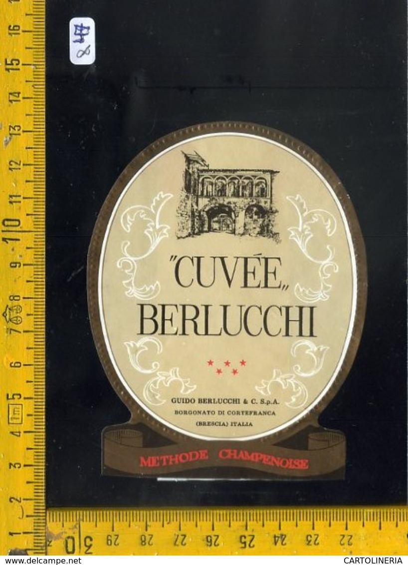 Etichetta Vino Liquore Cuvèe Berlucchi Borgonato Di Cortefranca Brescia - Altri & Non Classificati