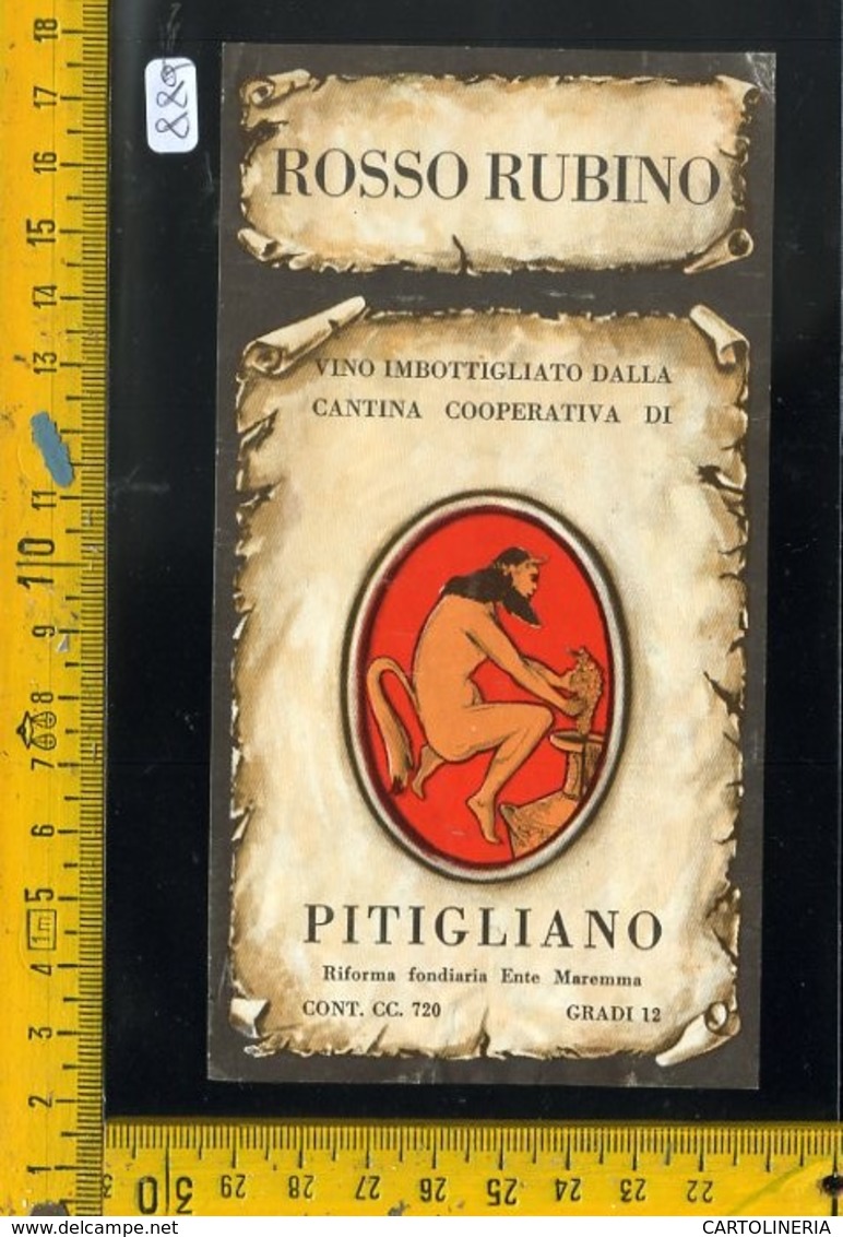 Etichetta Vino Liquore Rosso Rubino Pitigliano Maremma - Altri & Non Classificati