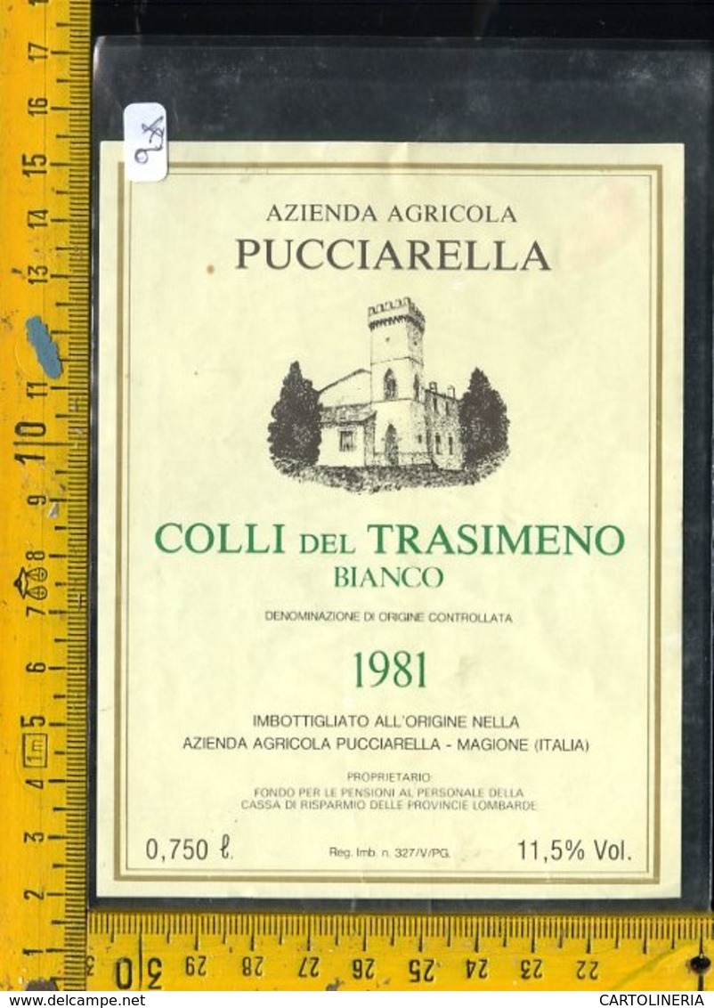 Etichetta Vino Liquore Colli Del Trasimeno 1981 Pucciarella Magione - Altri & Non Classificati