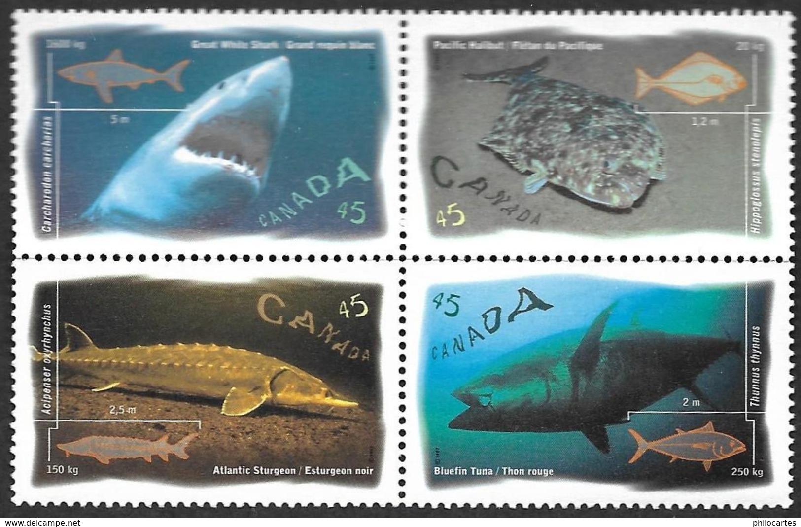 Canada  1997 -   YT 1511 à 1514  - Poissons Marins -   NEUFS** - Neufs