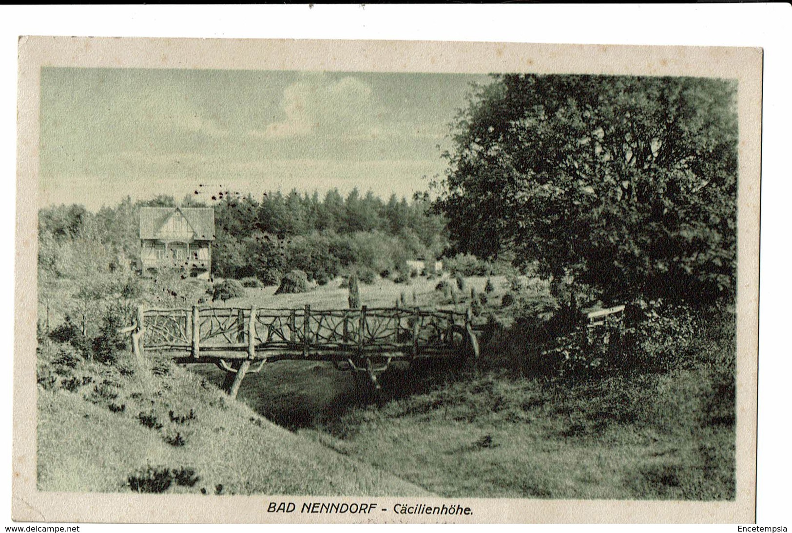 CPA - Carte Postale -  Allemagne - Bad Nenndorf - Cäcilienhöhe-1911 S4970 - Schaumburg