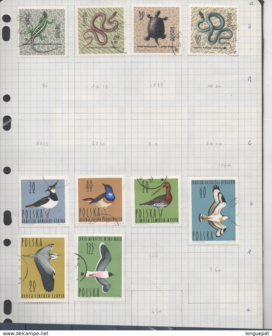 Pologne : 72 scans - Collection de timbres polonais