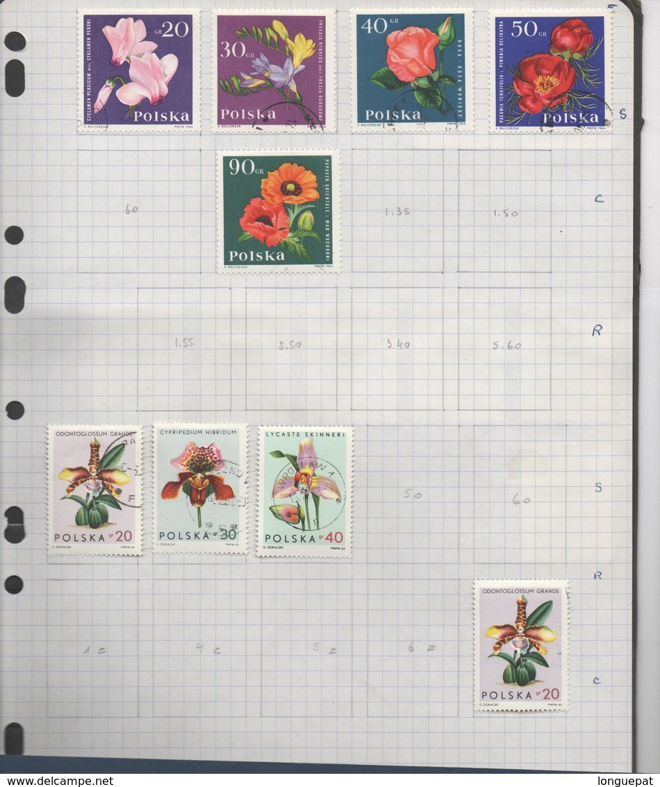 Pologne : 72 scans - Collection de timbres polonais